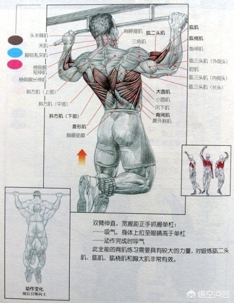 腰间盘突出怎么锻炼,腰间盘突出怎么锻炼最好