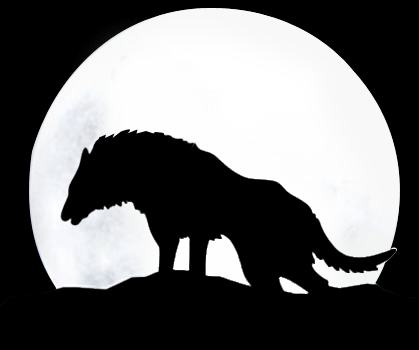 419_350gif 动态图 动图