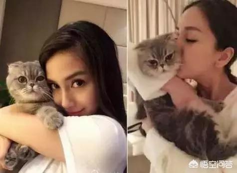 宠物摄影:宠物摄影行业如何有效进行线上线下推广？