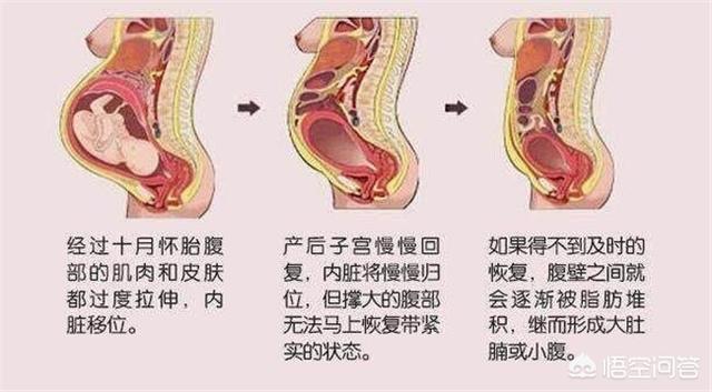 产后怎么做能尽快排干净恶露,促进子宫尽快恢复？