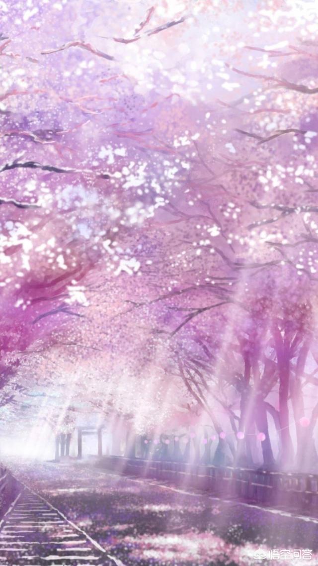 头条问答 - 动漫樱花场景化有哪些?(1个回答)