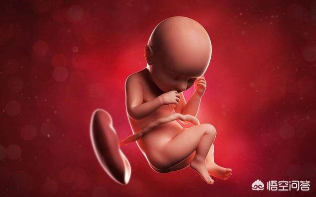 怀孕32周胎儿图片欣赏图片