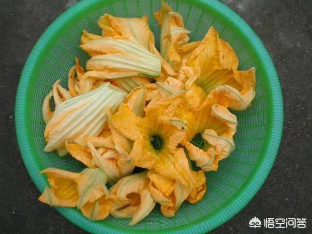 头条问答 夏天吃南瓜花有哪些好处呢 有什么吃法 8个回答