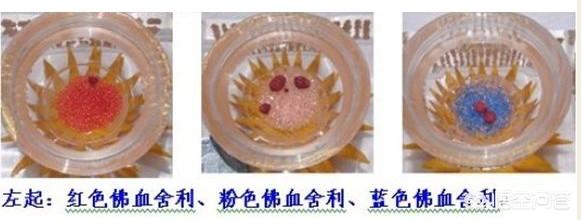 感应舍利:舍利子有多少类？下面事否是传说中的舍利子？