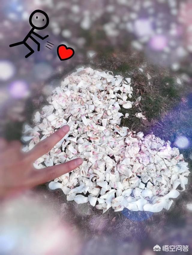 在男女朋友的日常相处中,怎么做才能避免分手？