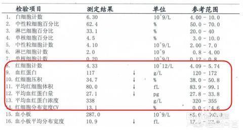 严重贫血应该看什么科:严重贫血怎样补最快？最近感觉头有点晕晕的不知道怎么办才好？