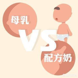 辛巴狗和哈米兔的漫画:大家觉得给朋友孩子送什么礼物最合适？