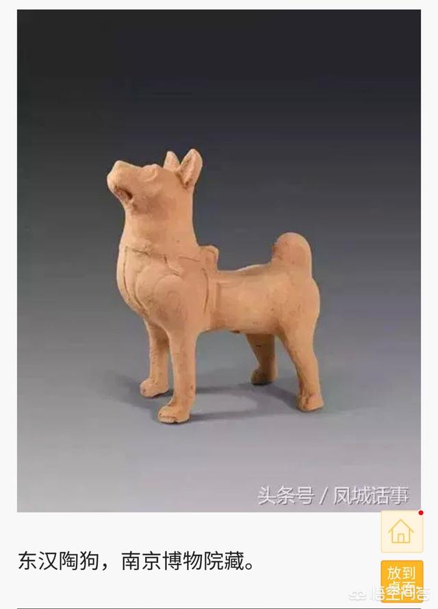 中华田园犬吧:中华田园犬升级为中国唐狗，对此你怎么看？