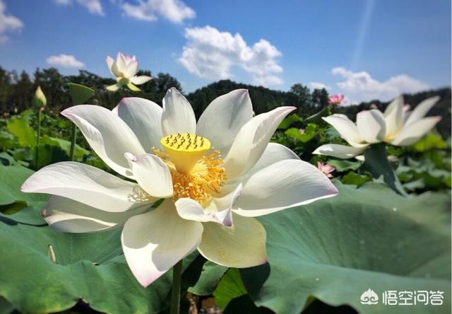 你在手机上装过哪些实用的摄影软件？