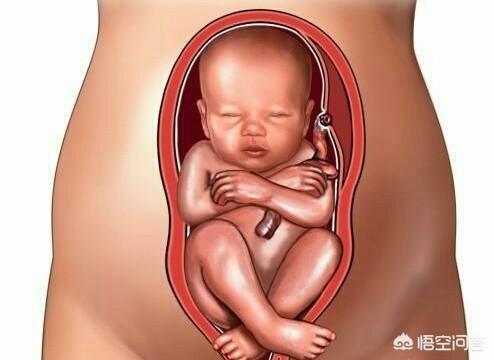 9个月的胎儿是以什么样的姿势呆在肚子里的？怀孕9个月要注意什么？
