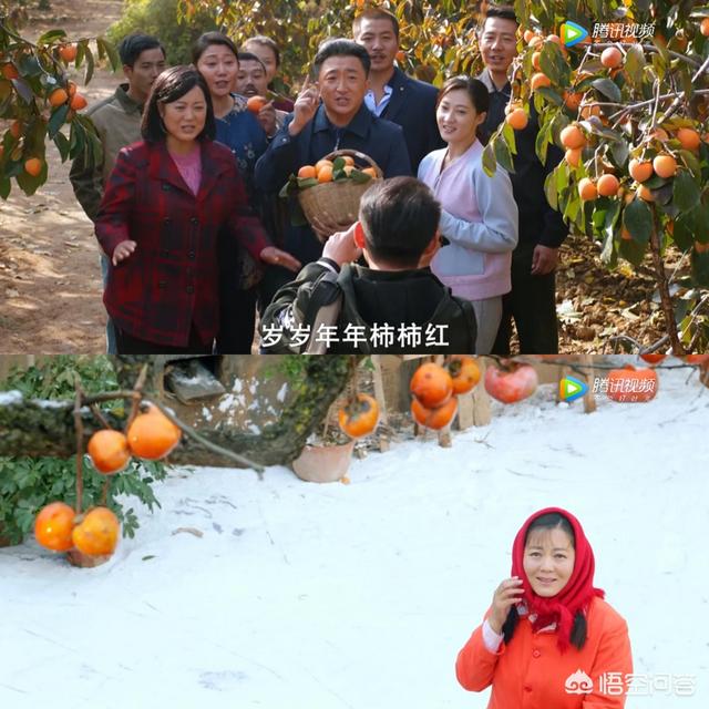 胡杨女人歌曲:如何评价电视剧《岁岁年年柿柿红》中扮演杨柿红的演员王茜华