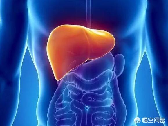中药引发肝损伤越来越多？，造成人体肝损伤的主要原因有哪些？