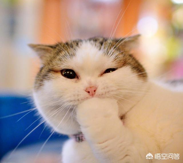适合发<a href=https://maguai.com/list/256-0-0.html target=_blank class=infotextkey><a href=https://maguai.com/list/256-0-0.html target=_blank class=infotextkey>朋友圈</a></a>的经典短句:有哪些经典至极的说说<a href=https://maguai.com/list/46-0-0.html target=_blank class=infotextkey><a href=https://maguai.com/list/46-0-0.html target=_blank class=infotextkey>语录</a></a>？