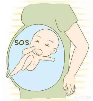 有的胎儿晚上在妈妈肚子里很活跃,白天却很安静,是什么原因导致的?