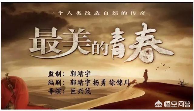 如何评价由刘智扬、何雨虹主演的央视热播剧《最美的青春》？