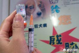 长春长生狂犬疫苗的副作用:假疫苗事件受害者受到了哪些伤害？ 长春长生狂犬疫苗事件
