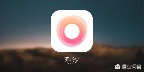 有文艺的微信名:有哪些冷门却文艺的手机app(冷门又小众的文艺app)