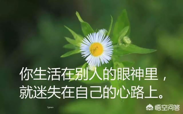 <a><a>朋友圈</a></a>感悟人生的唯美<a><a>语录</a></a>有哪些