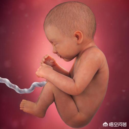 关晓彤十个月怀孕照片:怀孕是9个月还是10个月后才生产？