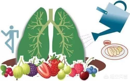 立秋后如何养肺，立秋后的养肺食材都有哪些