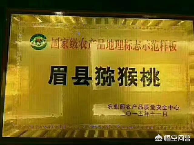 中国产奇异果的地区，国内哪些产区的猕猴桃品质最好