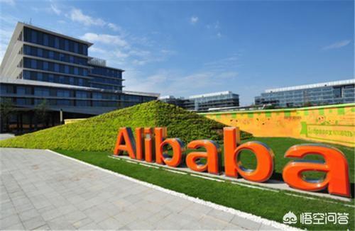想要进入阿里巴巴工作,要考入到什么大学、什么专业才有希望？