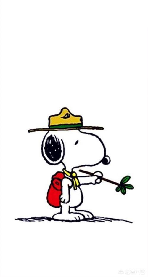 头条问答 - 如何评价卡通人物史努比?(3个回答)