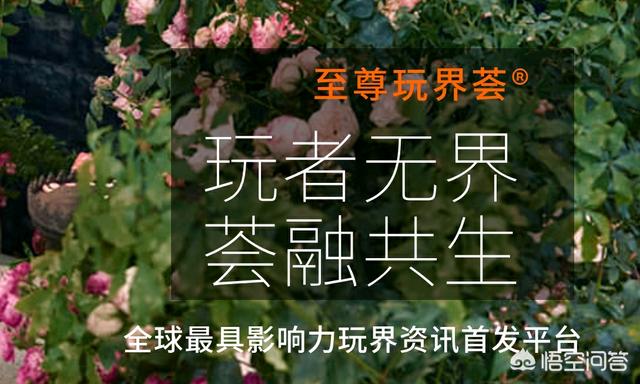 网店引流推广方法:开网店如何推广引流？最近开了个淘宝小店都没有人？