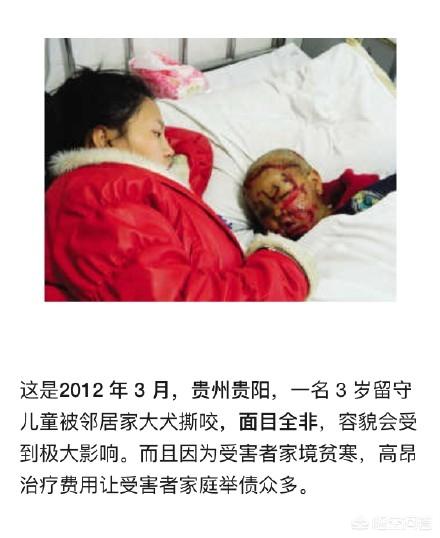 长春另类宠物吧:长春保利罗兰香谷业主群，有人教唆用异烟肼毒死狗，你怎么看？