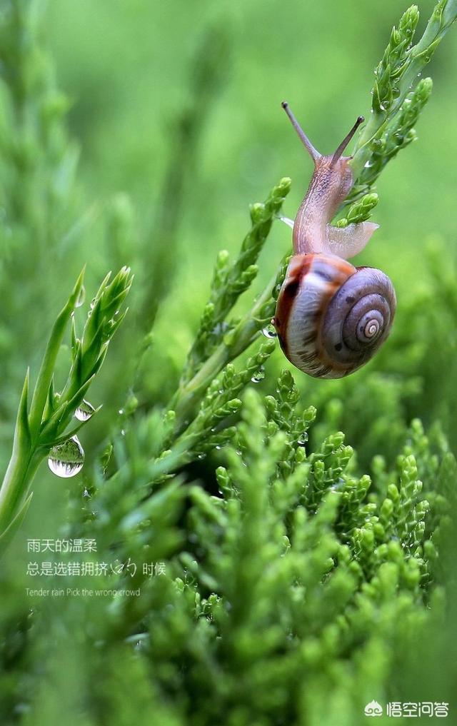 拉黑和屏蔽你更讨厌哪一个？