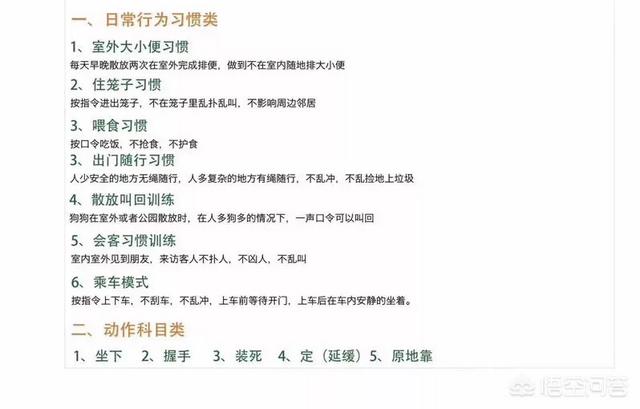 上海浦东新区朵拉训练狗狗:哪里有训练拉布拉多犬的？怎么训练？