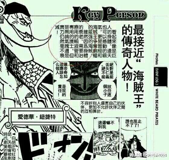 你认为《海贼王》里战力排行榜前十名都是哪些人？