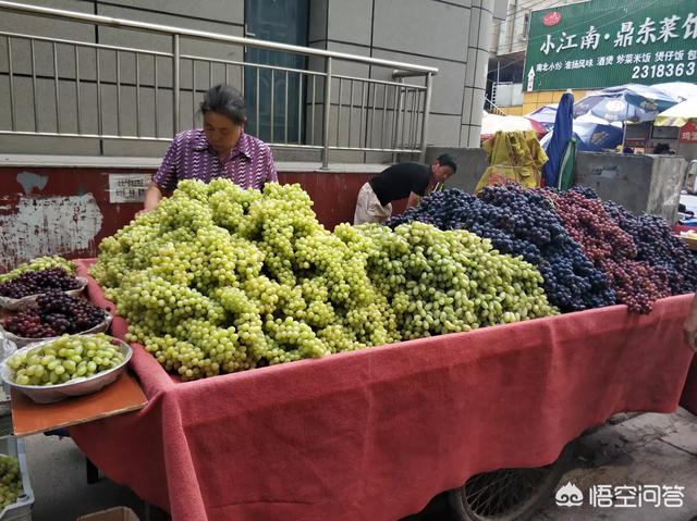 你吃过新疆的水果吗，西宁的水果好吃还是新疆的水果好吃为什么