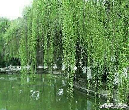 你能列出哪些与二十四节气相关的诗词（某一节气即可）？