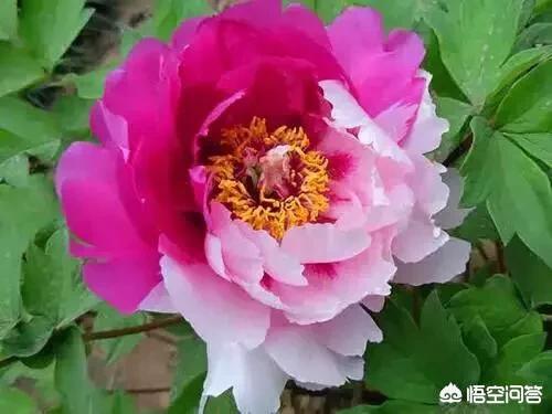 命里有几套房子是注定,人生是不是早就命中注定？