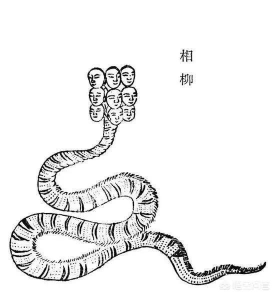 《山海经》中的九头蛇相柳是什么来历，和日本的八岐大蛇有什么关系？