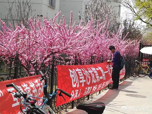 创新创业协会，东北大学秦皇岛分校和大连理工盘锦校区哪个更值得报考为什么