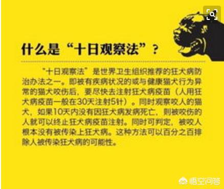 被狗狗咬了没出血打不打针:被小狗咬了，但没出血要怎么处理？
