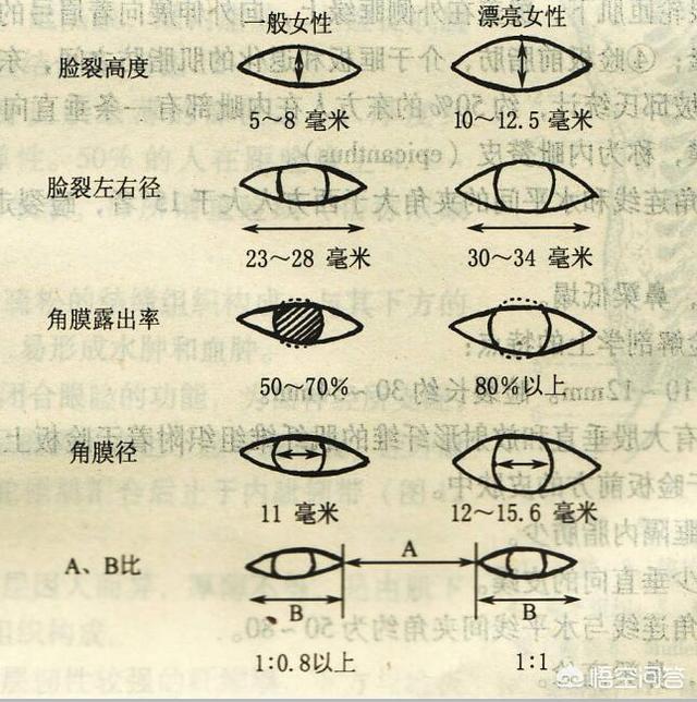 割完双眼皮用氯霉素滴眼液:双眼皮整形需要注意些什么？