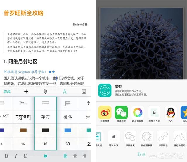 有文艺的微信名:有哪些冷门却文艺的手机app(冷门又小众的文艺app)