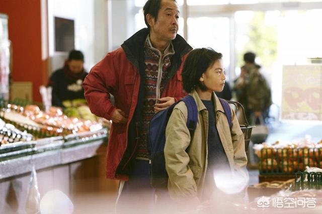 天平上的马尔济斯剧情介绍:如何看懂《小偷家族》这样的电影？