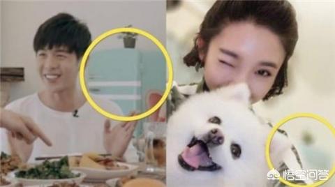 张若昀的家世:张若昀和唐艺昕怎么认识的