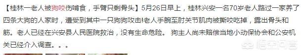 美国训狗节目训狗有方:怎么改正罗威纳幼犬往身上扑的毛病？