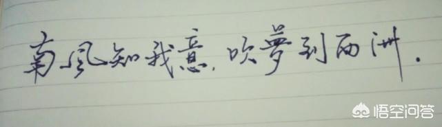 贾南风:怎样评价历史中的贾南风？