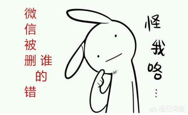 为什么微信被删除,不给一些提示呢,好难过？