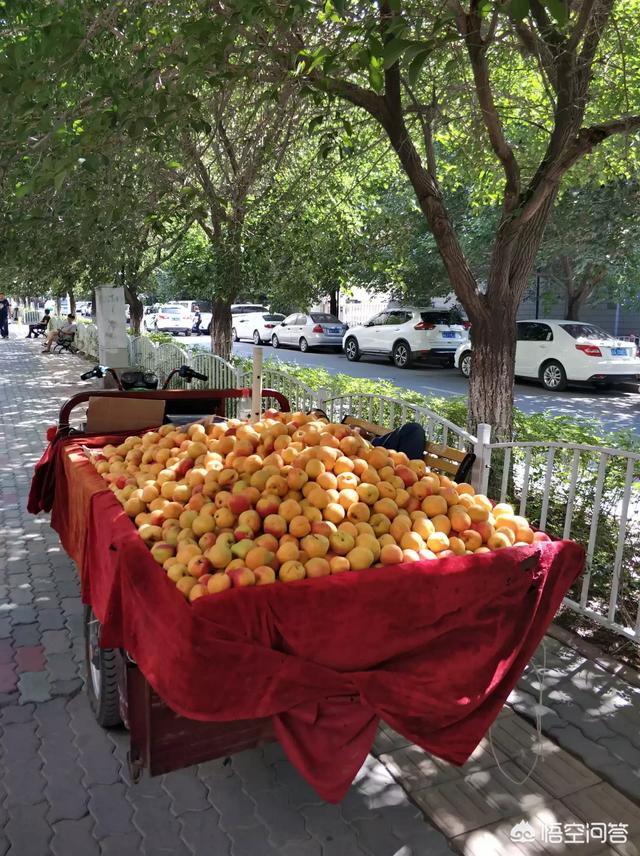 你吃过新疆的水果吗，你喜欢吃新疆大枣吗？为什么？