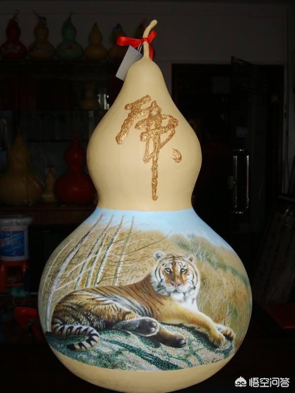 金丝吊葫芦可与枸杞同吃吗 金丝吊葫芦知识有哪些?-芃睿知识网