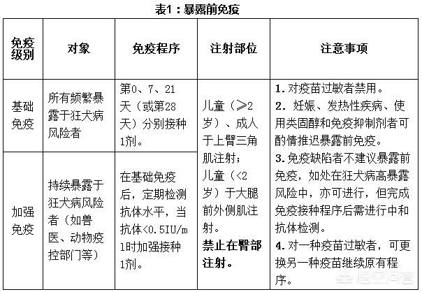 狂犬疫苗注射时间:狂犬疫苗的最佳免疫时间？