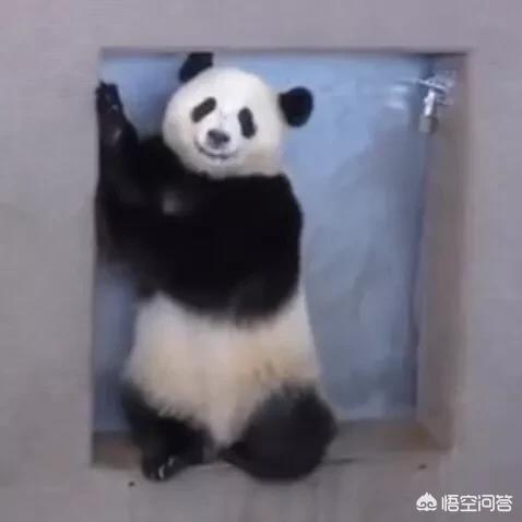 一段情，回忆起来是男的痛还是女的痛？插图2