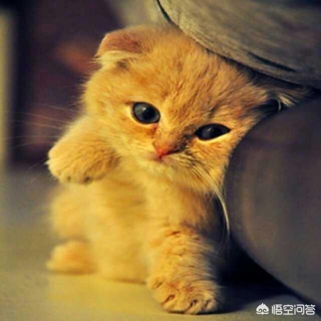 适合发<a href=https://maguai.com/list/256-0-0.html target=_blank class=infotextkey><a href=https://maguai.com/list/256-0-0.html target=_blank class=infotextkey>朋友圈</a></a>的经典短句:有哪些经典至极的说说<a href=https://maguai.com/list/46-0-0.html target=_blank class=infotextkey><a href=https://maguai.com/list/46-0-0.html target=_blank class=infotextkey>语录</a></a>？